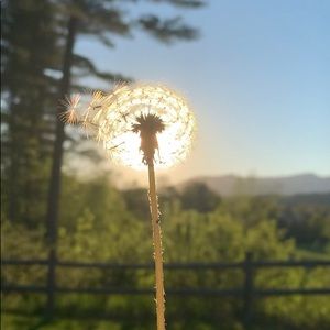 Meet your Posher, Lucia